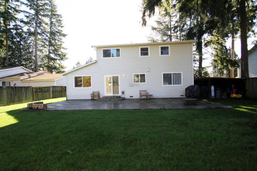 Lower level fireplace